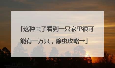 这种虫子看到一只家里很可能有一万只，除虫攻略→