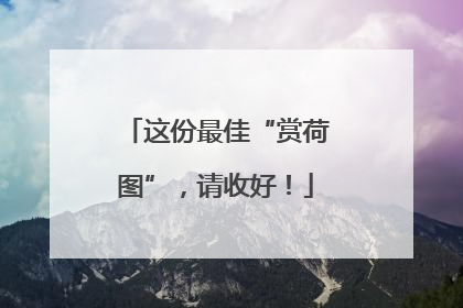这份最佳“赏荷图”，请收好！