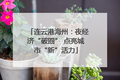连云港海州：夜经济“破圈” 点亮城市“新”活力