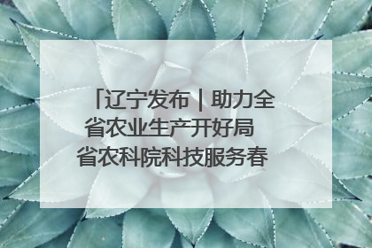 辽宁发布｜助力全省农业生产开好局 省农科院科技服务春耕备耕成效显著