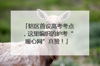 辖区首设高考考点，这里编织的护考“暖心网”真赞！