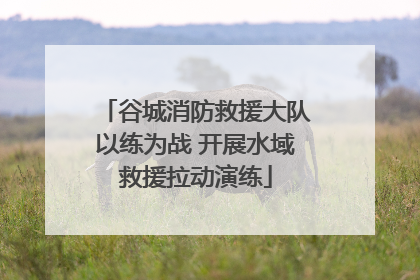 谷城消防救援大队以练为战 开展水域救援拉动演练
