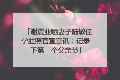 谢震业晒妻子陆敏佳孕肚照官宣喜讯：记录下第一个父亲节