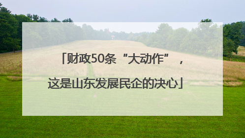 财政50条“大动作”，这是山东发展民企的决心
