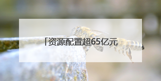 资源配置超65亿元！上海搭建全国首个政企协同体育资源平台