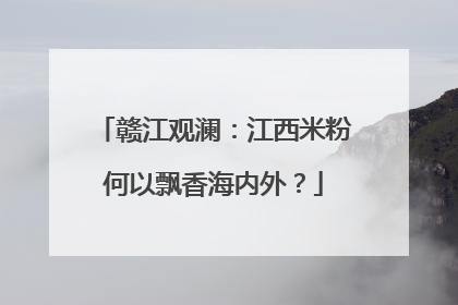 赣江观澜：江西米粉何以飘香海内外？