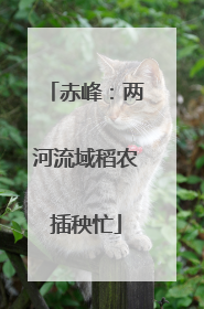 赤峰：两河流域稻农插秧忙
