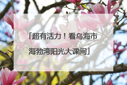 超有活力！看乌海市海勃湾阳光大课间