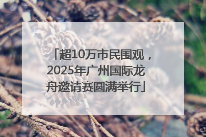 超10万市民围观，2025年广州国际龙舟邀请赛圆满举行