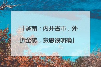 越南：内并省市，外近金砖，意思很明确