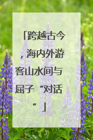 跨越古今，海内外游客山水间与屈子“对话”