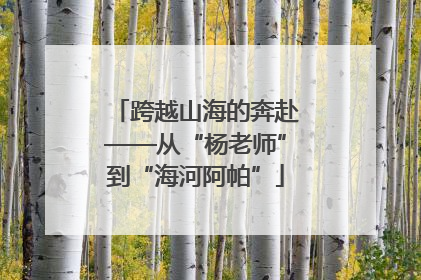 跨越山海的奔赴——从“杨老师”到“海河阿帕”