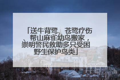 送牛背鹭、苍鹭疗伤、帮山麻雀幼鸟搬家，崇明警民救助多只受困野生保护鸟类