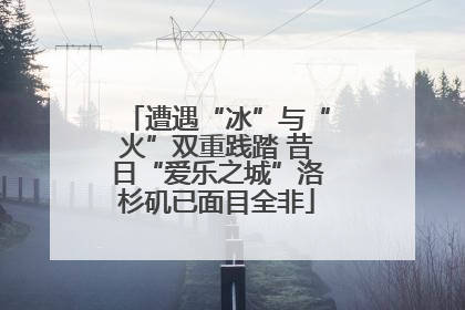 遭遇“冰”与“火”双重践踏 昔日“爱乐之城”洛杉矶已面目全非