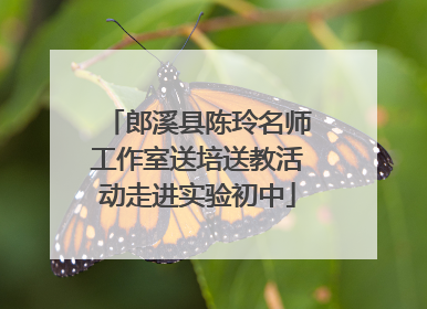 郎溪县陈玲名师工作室送培送教活动走进实验初中