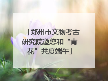 郑州市文物考古研究院邀您和“青花”共度端午