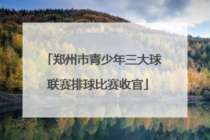 郑州市青少年三大球联赛排球比赛收官