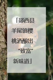郧西县羊尾镇樱桃酒酿出“致富”新味道