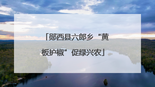 郧西县六郎乡“黄板护椒”促绿兴农