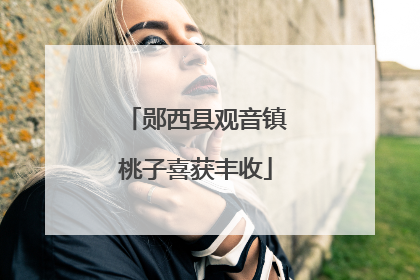 郧西县观音镇桃子喜获丰收