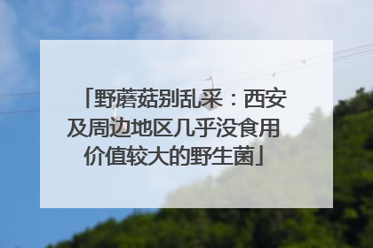 野蘑菇别乱采：西安及周边地区几乎没食用价值较大的野生菌