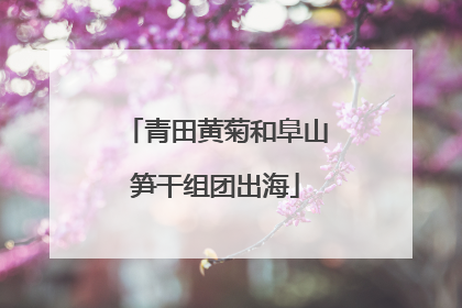 青田黄菊和阜山笋干组团出海