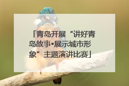 青岛开展“讲好青岛故事•展示城市形象”主题演讲比赛