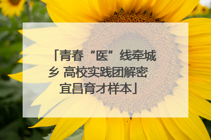青春“医”线牵城乡 高校实践团解密宜昌育才样本
