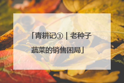 青耕记③｜老种子蔬菜的销售困局