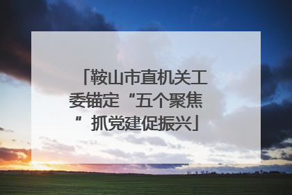 鞍山市直机关工委锚定“五个聚焦”抓党建促振兴