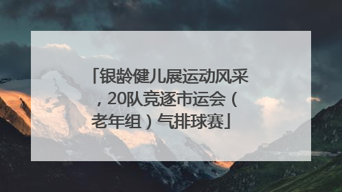 银龄健儿展运动风采，20队竞逐市运会（老年组）气排球赛