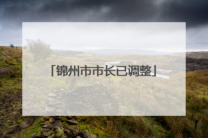 锦州市市长已调整
