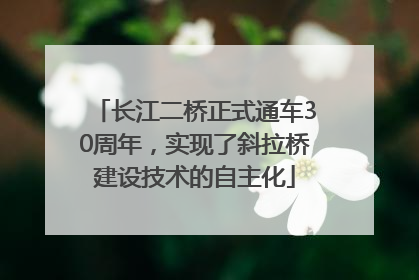 长江二桥正式通车30周年，实现了斜拉桥建设技术的自主化