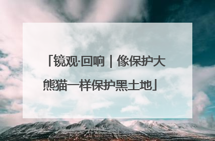 镜观·回响｜像保护大熊猫一样保护黑土地
