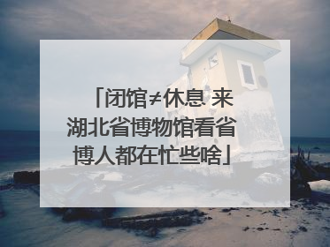 闭馆≠休息 来湖北省博物馆看省博人都在忙些啥