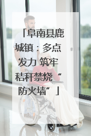 阜南县鹿城镇：多点发力 筑牢秸秆禁烧“防火墙”