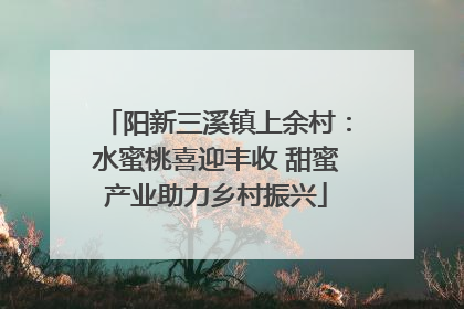 阳新三溪镇上余村：水蜜桃喜迎丰收 甜蜜产业助力乡村振兴