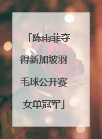 陈雨菲夺得新加坡羽毛球公开赛女单冠军