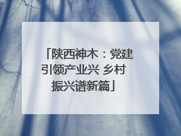 陕西神木：党建引领产业兴 乡村振兴谱新篇