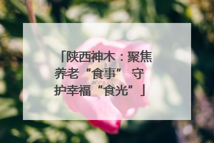 陕西神木：聚焦养老“食事” 守护幸福“食光”