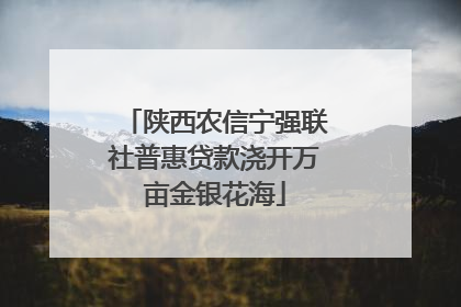 陕西农信宁强联社普惠贷款浇开万亩金银花海