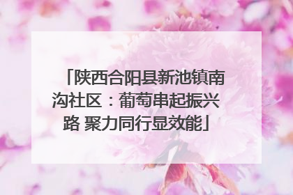 陕西合阳县新池镇南沟社区：葡萄串起振兴路 聚力同行显效能