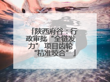 陕西府谷：行政审批“全链发力” 项目齿轮“精准咬合”