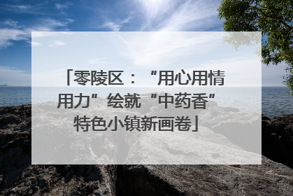 零陵区：“用心用情用力”绘就“中药香”特色小镇新画卷
