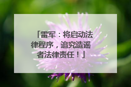雷军：将启动法律程序，追究造谣者法律责任！