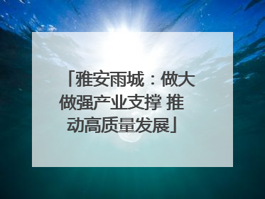 雅安雨城：做大做强产业支撑 推动高质量发展
