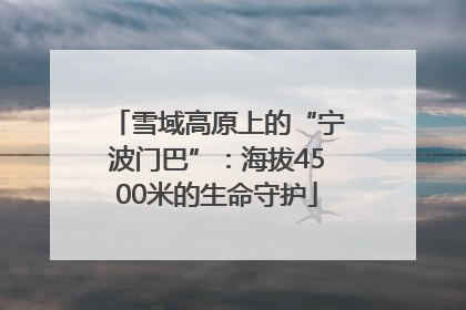 雪域高原上的“宁波门巴”：海拔4500米的生命守护