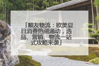 顺友物流：欧美夏日消费热潮涌动，选品、营销、物流一站式攻略来袭