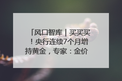风口智库｜买买买！央行连续7个月增持黄金，专家：金价或仍易涨难跌