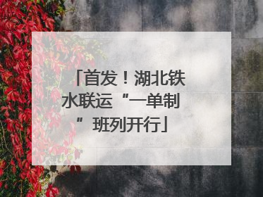 首发！湖北铁水联运“一单制”班列开行